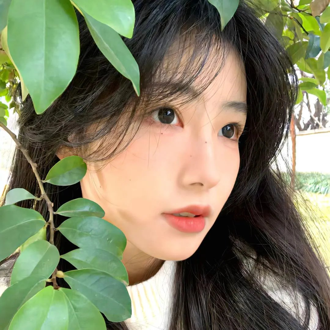 囧妈的极地任务